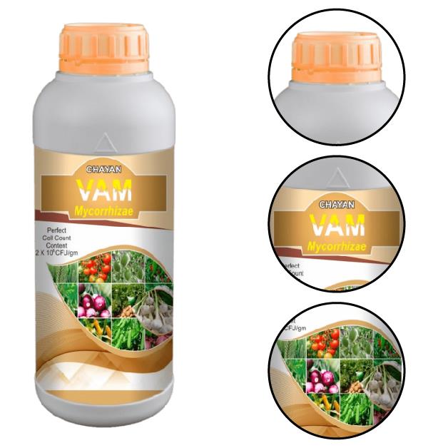 Chayan-Vam-(Mycorrhizae-Bio-Fertilizer)-Chayan-Chemicals-and-Fertilizer